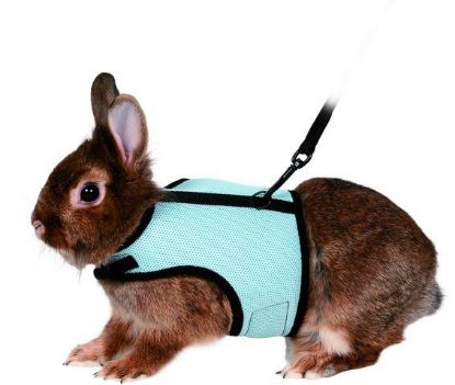Picture of Rabbit soft harness with lead, nylon, 25–32 cm, 1.20 m