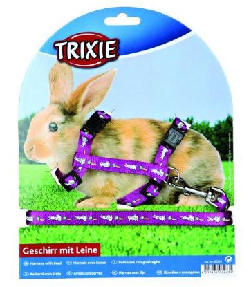 Picture of Rabbit harness with lead, nylon, 25–44 cm/10 mm, 1.25 m