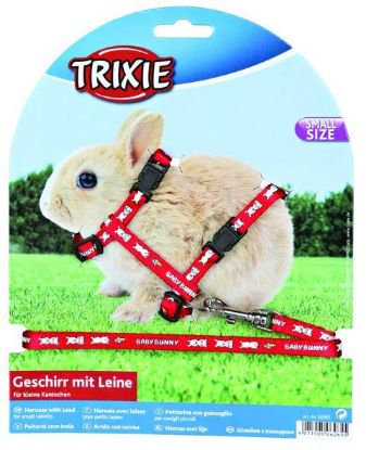 Picture of Harness with lead for small rabbits, nylon, 20–33 cm/8 mm, 1.25 m