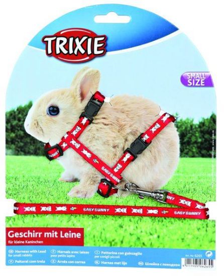 Εικόνα της Harness with lead for small rabbits, nylon, 20–33 cm/8 mm, 1.25 m