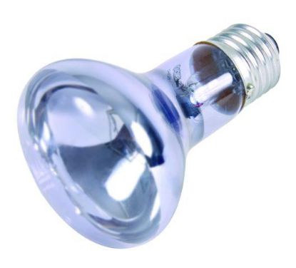 Picture of Neodymium basking spot-lamp, ø 63 × 100 mm, 35 W
