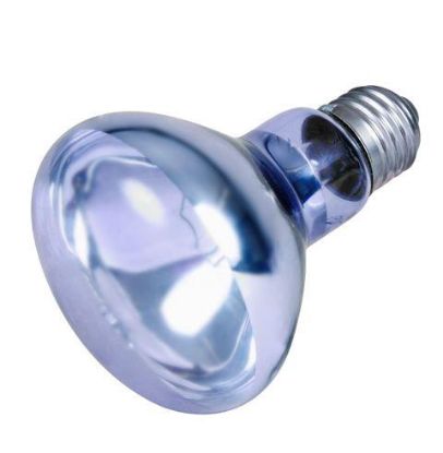 Picture of Neodymium basking spot-lamp, ø 80 × 108 mm, 100 W