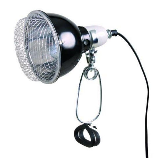 Εικόνα της Clamp lamp, ø 14 × 17 cm