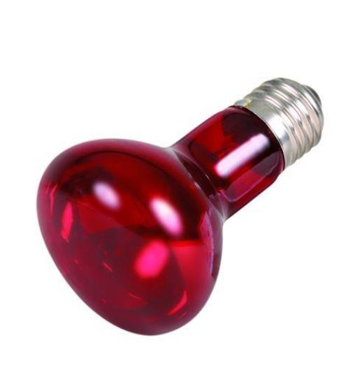 Εικόνα της Infrared heat spot-lamp, ø 63 × 100 mm, 50 W