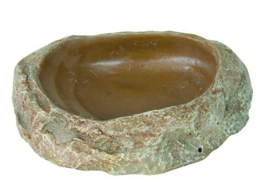 Εικόνα της Reptile water and food bowl, 11 × 2.5 × 7 cm