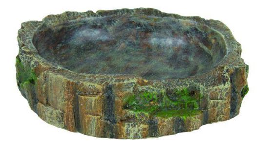 Εικόνα της Reptile water and food bowl, 13 × 3.5 × 11 cm