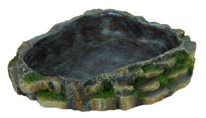 Picture of Reptile water and food bowl, 24 × 5.5 × 20 cm