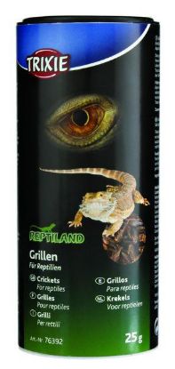 Picture of Crickets, dried, 250 ml/25 g