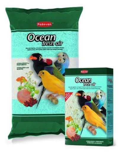 Εικόνα της OCEAN fresh air 1kg