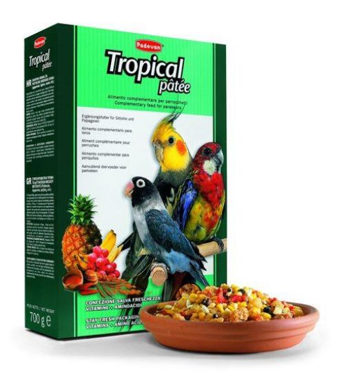 Εικόνα της TROPICAL patee 700g