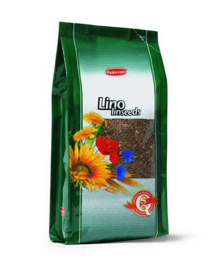 Εικόνα της LINO /linseeds 1kg