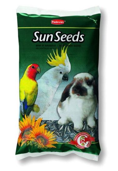 Εικόνα της SUNSEEDS medio /medium 500g