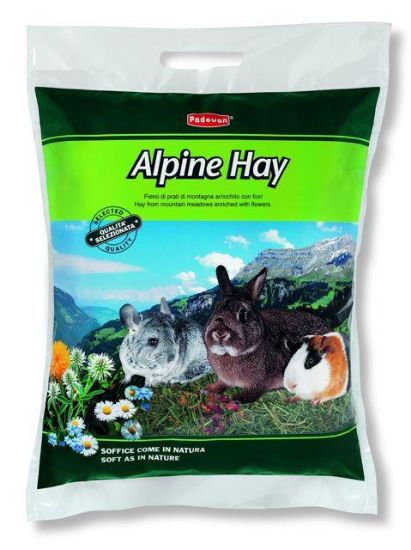 Εικόνα της ALPINE HAY 700g