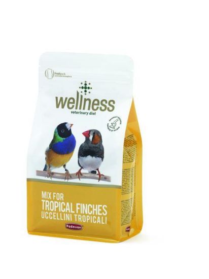 Εικόνα της WELINESS FINCHES MIX 1Kg