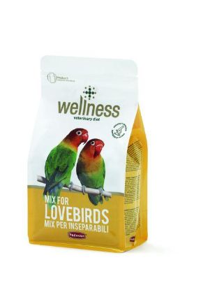 Picture of WELINESS LOVEBIRDS  850g