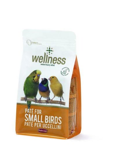 Εικόνα της WELINESS PATE for SMALL BIRDS 600g