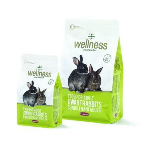 Εικόνα της WELINESS ADULT DWARF RABBITS 3kg