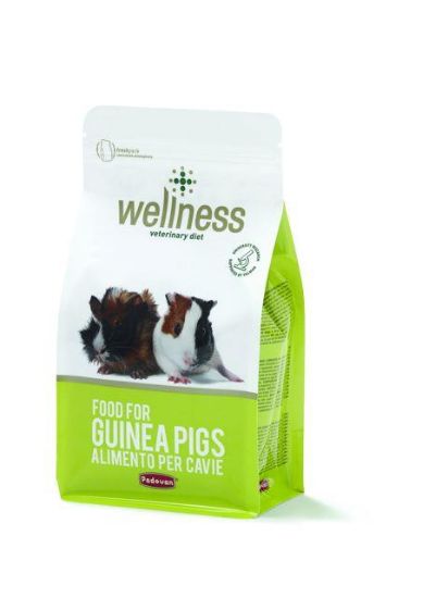 Εικόνα της WELINESS GUINEA PIGS  1kg