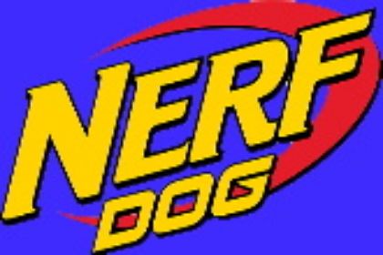 Picture for manufacturer NERF