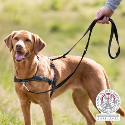 Εικόνα της Lead'n'Walk Soft training harness, L–XL: 65–105 cm/25 mm, black