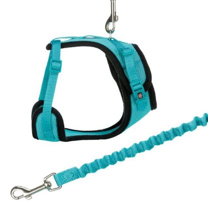 Picture of Y-harness, mesh, cat, with elastic lead, 39–60 cm/10 mm, 1.00 m