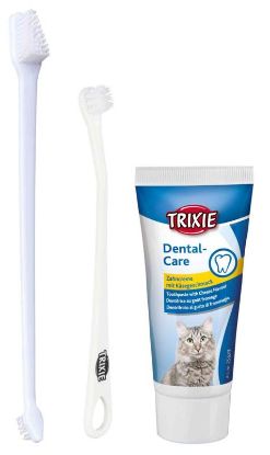 Picture of Dental hygiene set, cats