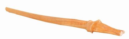 Picture of Bull pizzle, dried, 30 cm