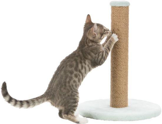 Εικόνα της Junior scratching post on plate, 42 cm, mint