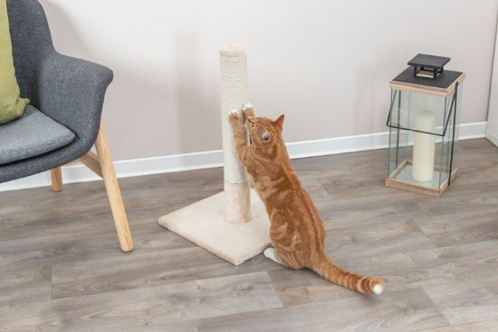 Εικόνα της Batres scratching post, 62 cm, beige