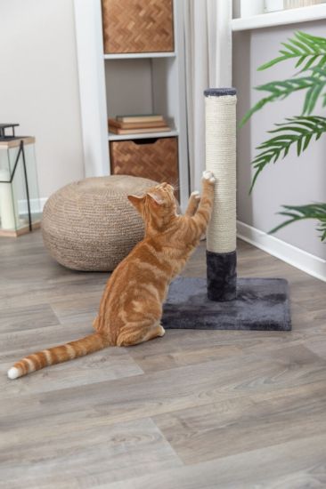 Εικόνα της Batres scratching post, 62 cm, platinum grey