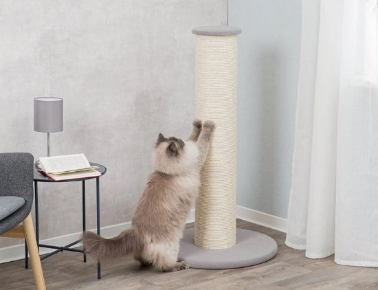 Picture of Trixie Scratching post XXL, 106 cm, taupe