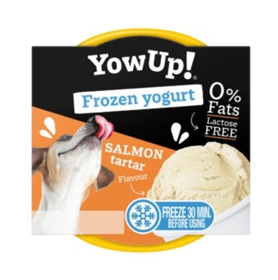 Εικόνα της YOWUP FROZEN YOGUT SALMON TARTAR
