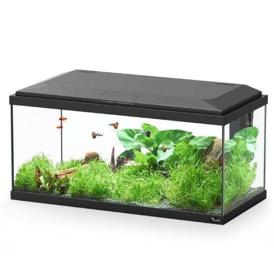 Εικόνα της AQ. EXPLORER BRUSSELS 80 COL001 BLACK LED BIO1