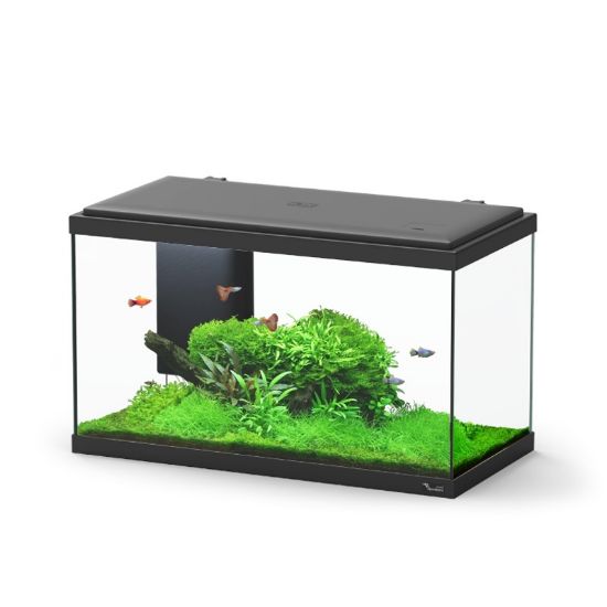 Εικόνα της AQ. EXPLORER PARIS 60 COL001 BLACK LED BIO