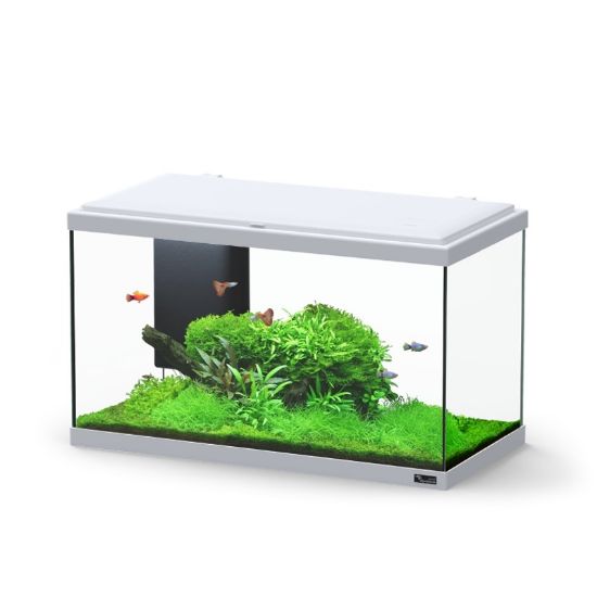 Εικόνα της AQ. EXPLORER PARIS 60 COL043 ICE GREY LED BIO