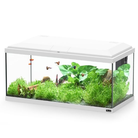 Εικόνα της AQ. EXPLORER BRUSSELS 80 COL025 WHITE LED