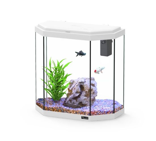 Εικόνα της AQ. EXPLORER ROME C25 COL025 WHITE BIOFILTER-LED