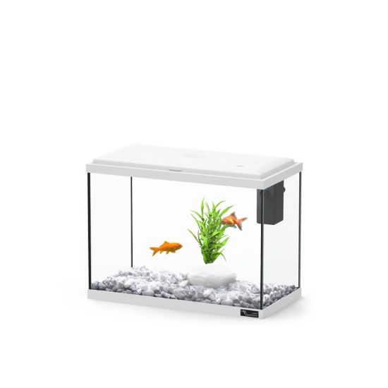 Εικόνα της AQ. EXPLORER LONDON 35 COL025 WHITE BIOFILTER-LED
