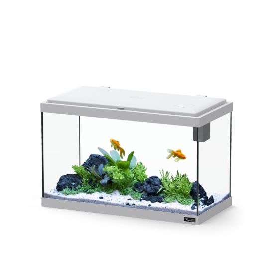 Εικόνα της AQ. EXPLORER VIENNA 50 COL43 ICE GREY BIOFILTER