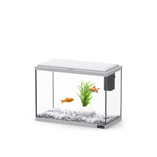 Εικόνα της AQ. EXPLORER LONDON 35 COL43 ICE GREY BIOFILTER-LED