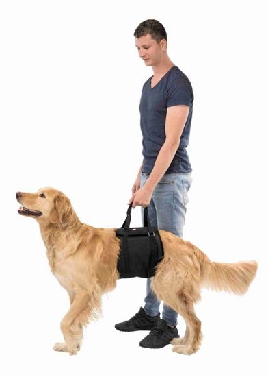 Εικόνα της Lifting aid, L–XL: 75–90 cm, black