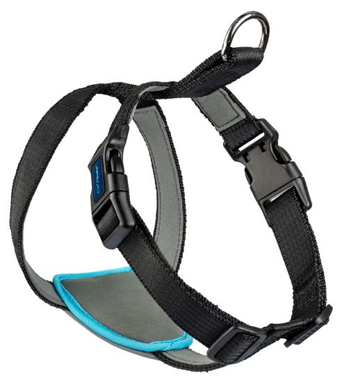 Εικόνα της CARSAFE DOG TRAVEL HARNESS BLACK M