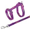 Εικόνα της Cat harness with lead, motif strap, nylon, 23-39 cm/10 mm, 1.20 m