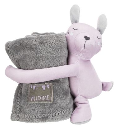 Εικόνα της Junior cuddly set blanket/rabbit, plush, 75 × 50 cm, grey/light lilac