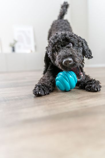 Εικόνα της Super Strong ball, TPR, ø 6 cm, petrol