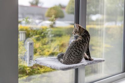 Εικόνα της Window Perch, plush/mesh fabric, foldable, 58 × 34 cm, white/grey