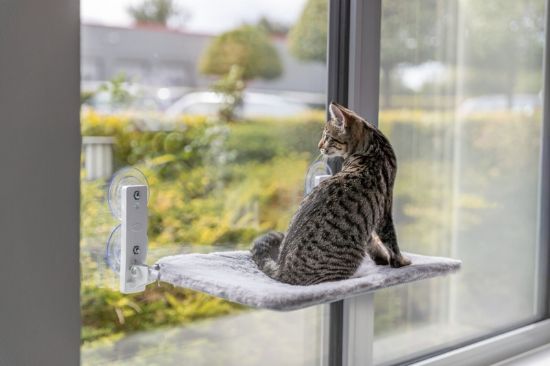 Εικόνα της Window Perch, plush/mesh fabric, foldable, 58 × 34 cm, white/grey