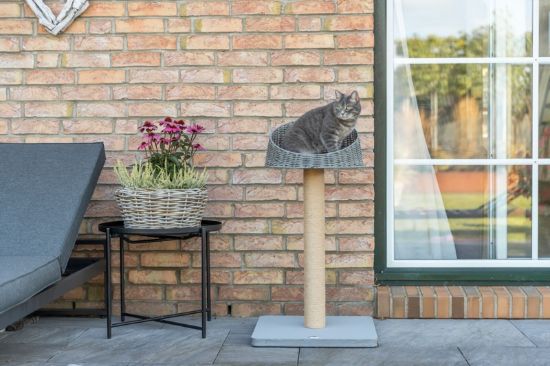 Εικόνα της Outdoor scratching post Amalia, small, 88 cm, grey