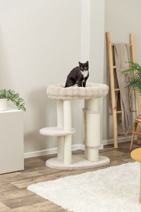 Εικόνα της Cat tree XXL Elli, 90 cm, cream