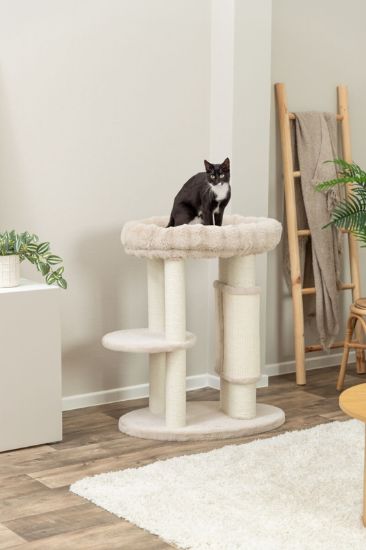 Picture of Cat tree XXL Elli, 90 cm, cream